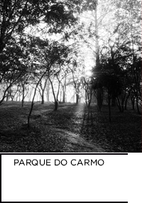 Fotografia em preto e branco. Local do parque do Carmo, raios de luz emerge dramática em meio às copas das arvores e incide no solo. Abaixo, “PARQUE DO CARMO”.