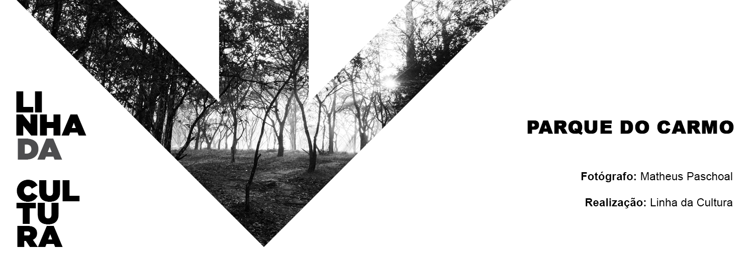 Fotografia em preto e branco. Local do parque do Carmo, raios de luz emerge dramática em meio às copas das arvores e incide no solo. Abaixo, “PARQUE DO CARMO”.