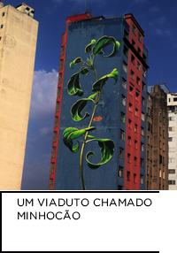Fotografia. Prédio com grafite de folhas, ao fundo outros prédios e céu. Abaixo da imagem “UM VIADUTO CHAMADO MINHOCÃO”.
