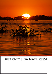 Fotografia. Rio Paraguai, Pantanal - Corumbá, MS com pôr do sol ao fundo.